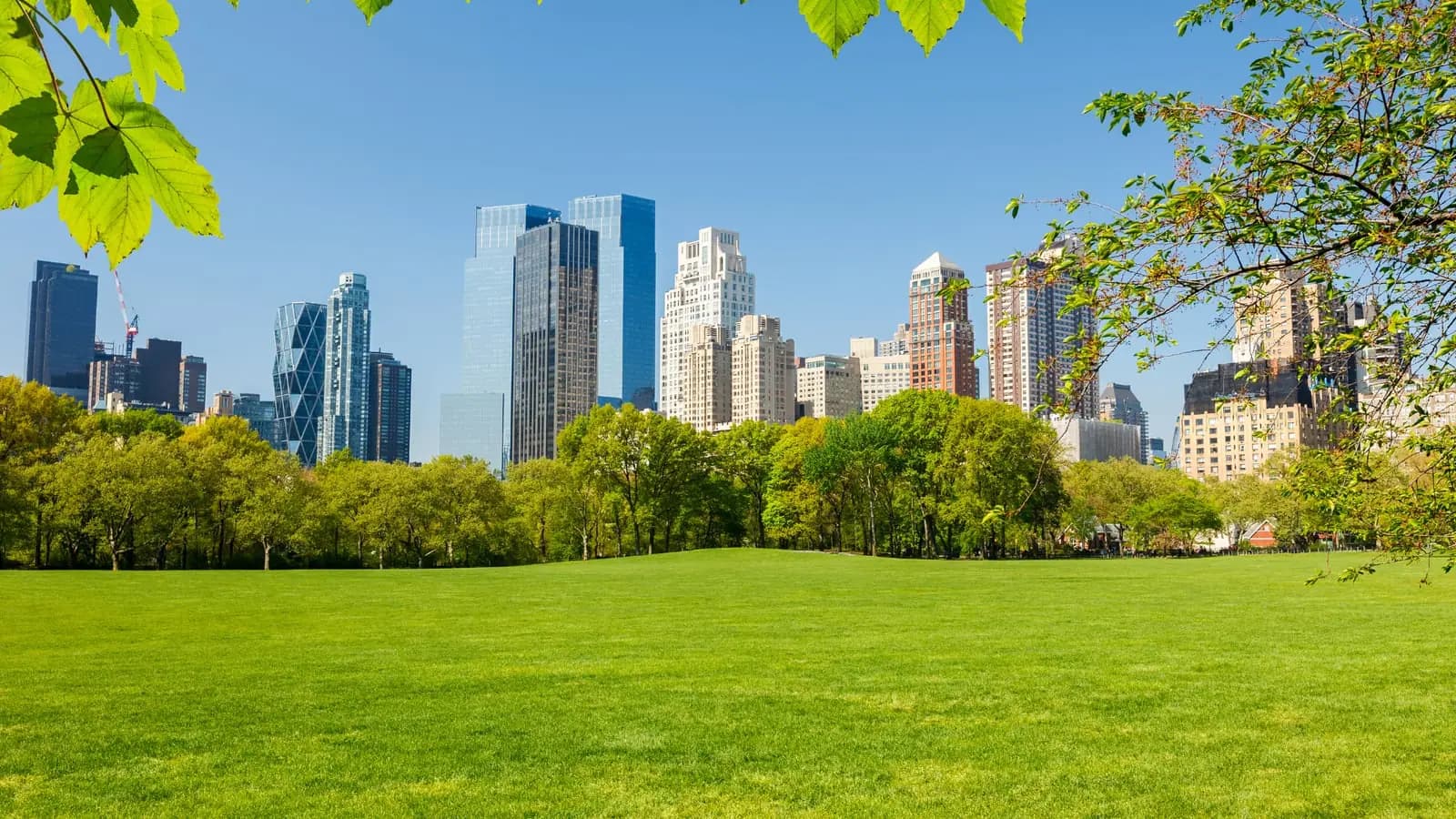 Open green park with city skyline in the background, representing sustainable urban operations
