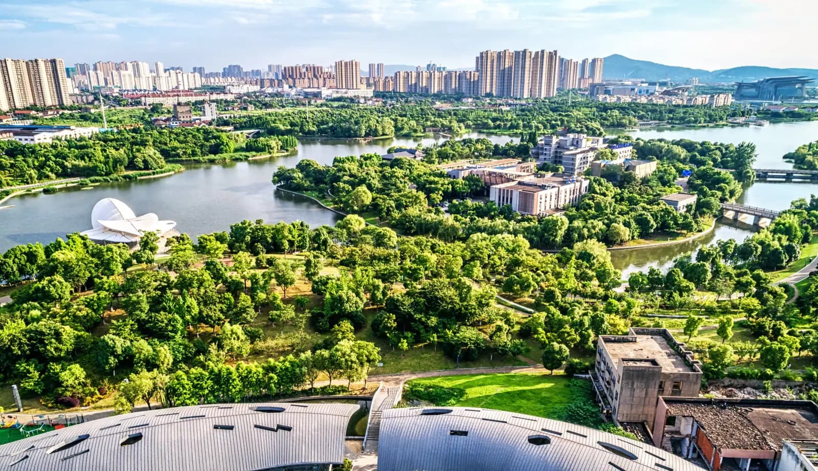 Lush green park beside a city skyline reflecting Tenth Rock's sustainability focus